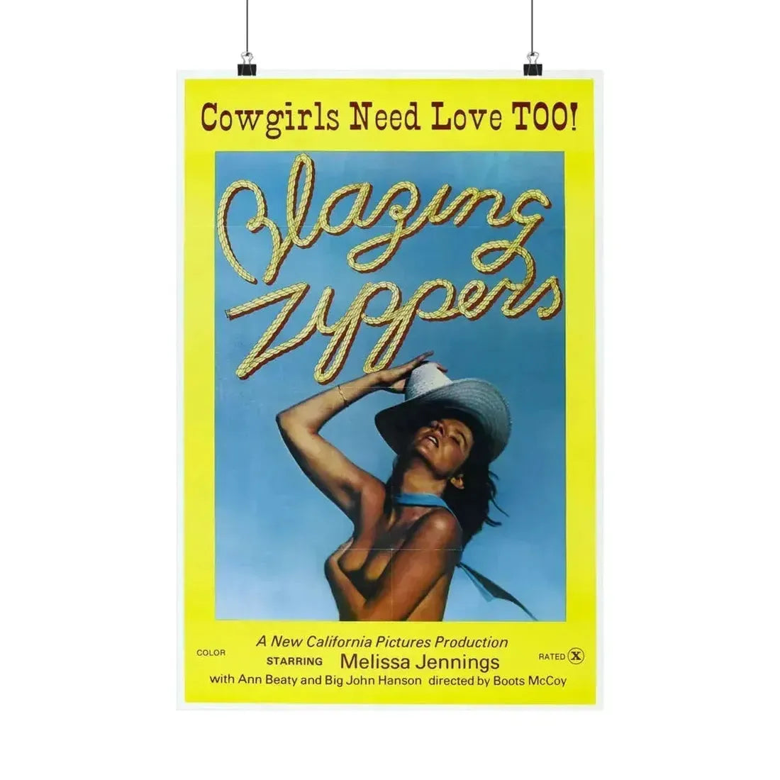 BLAZING ZIPPERS 1976 - Paper Movie Poster 16″ x 24″ Matte - The Sticker Space