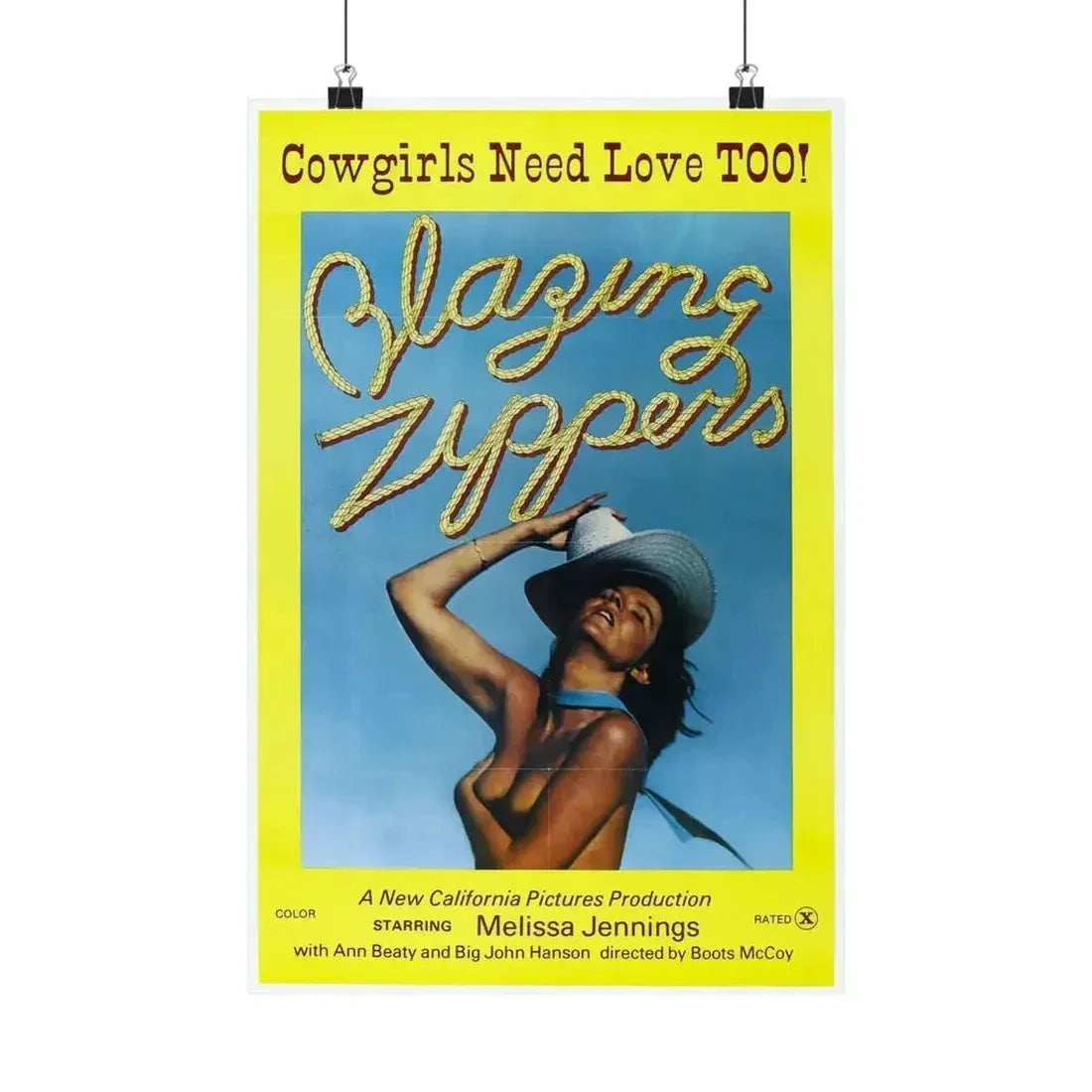 BLAZING ZIPPERS 1976 - Paper Movie Poster - The Sticker Space