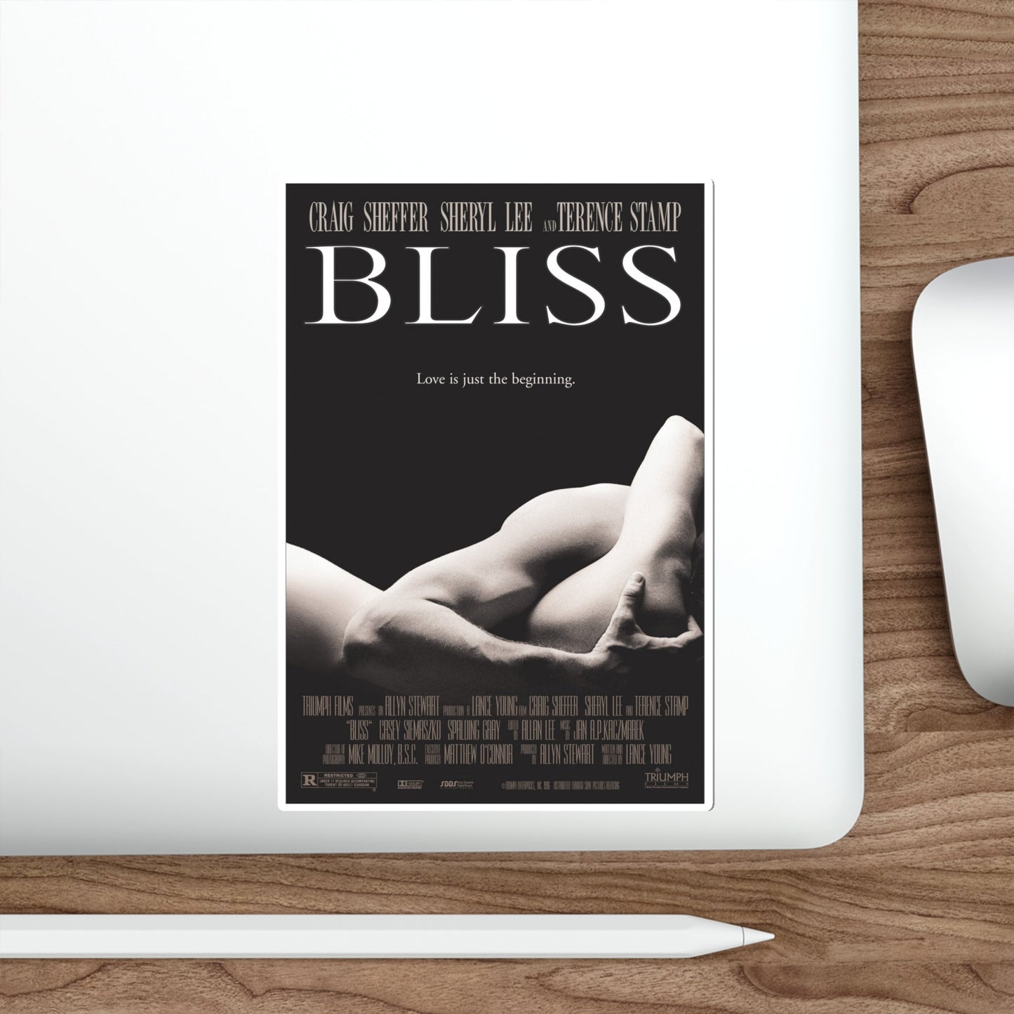 Bliss 1997 Movie Poster STICKER Vinyl Die-Cut Decal-The Sticker Space