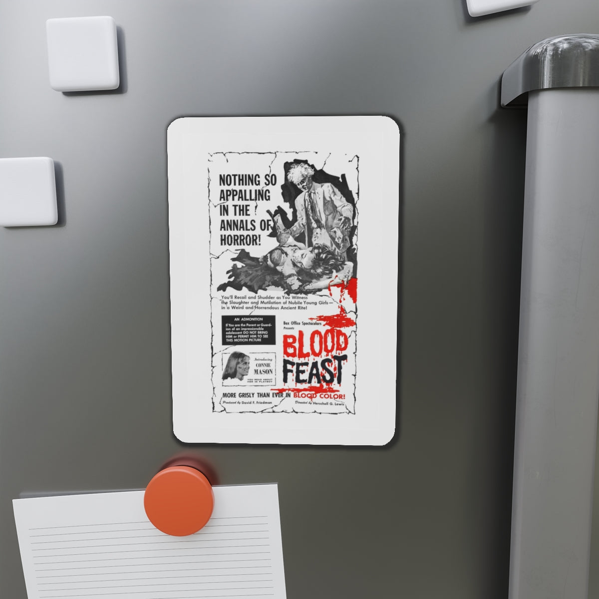 BLOOD FEAST 1963 Movie Poster - Die-Cut Magnet-The Sticker Space