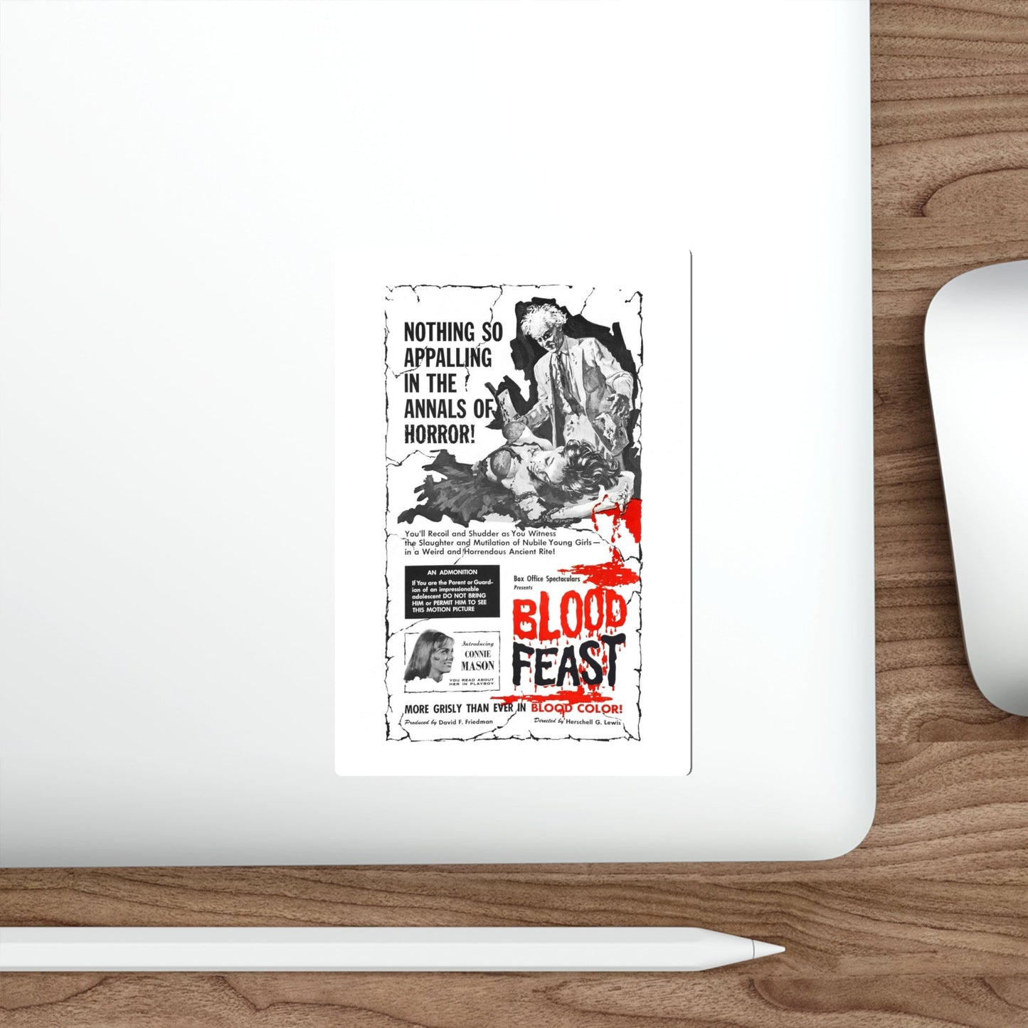 BLOOD FEAST 1963 Movie Poster STICKER Vinyl Die-Cut Decal-The Sticker Space