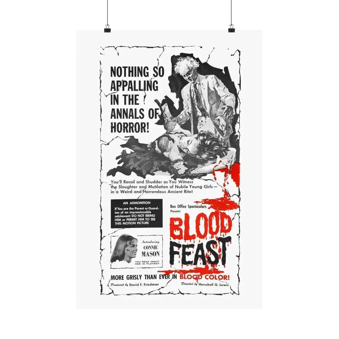 BLOOD FEAST 1963 - Paper Movie Poster 20″ x 30″ Matte - The Sticker Space