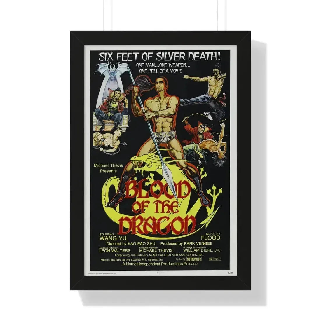 BLOOD OF THE DRAGON 1971 - Framed Movie Poster 16″ x 24″ Black - The Sticker Space