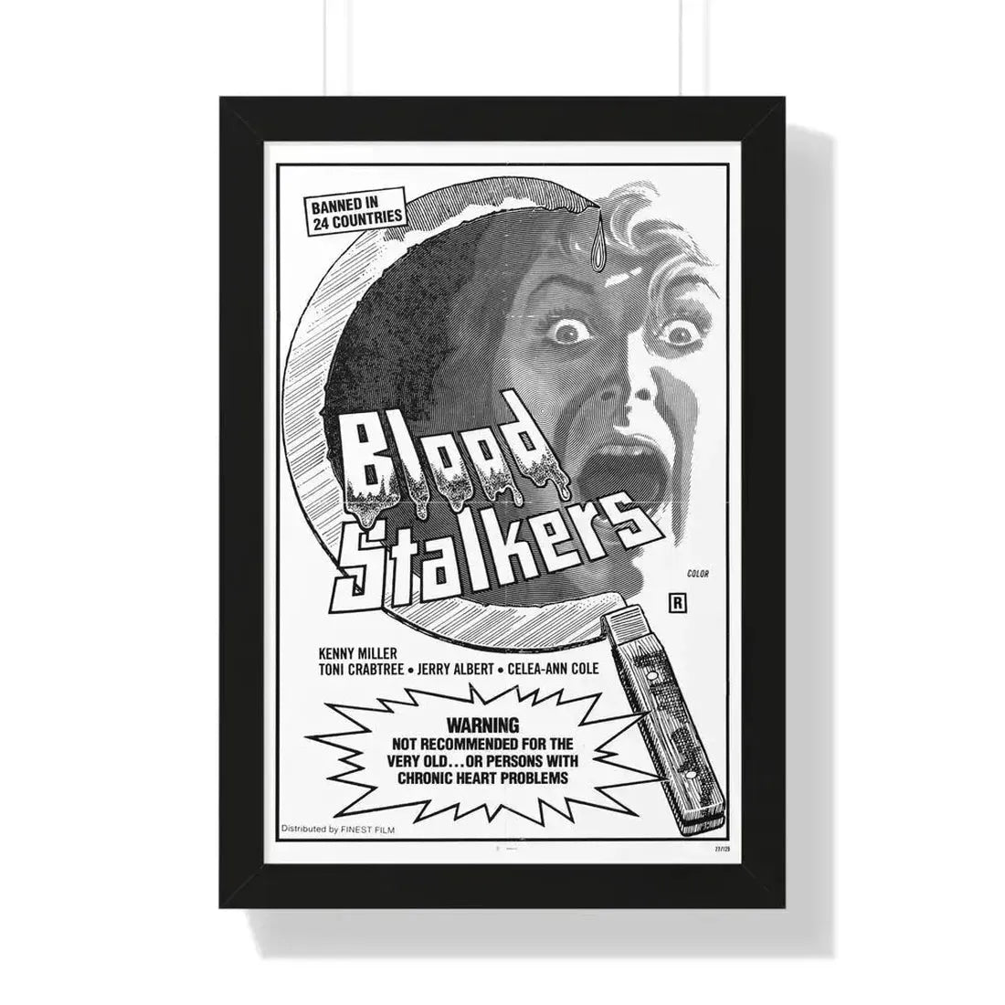 BLOOD STALKERS (THE NIGHT DANIEL DIED) 1976 - Framed Movie Poster 16″ x 24″ Black - The Sticker Space