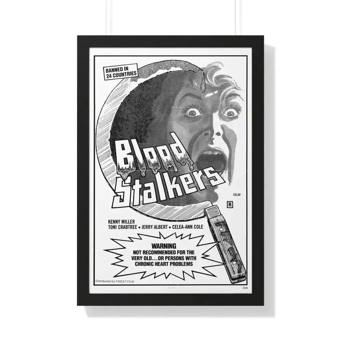 BLOOD STALKERS (THE NIGHT DANIEL DIED) 1976 - Framed Movie Poster 20" x 30" Black - The Sticker Space