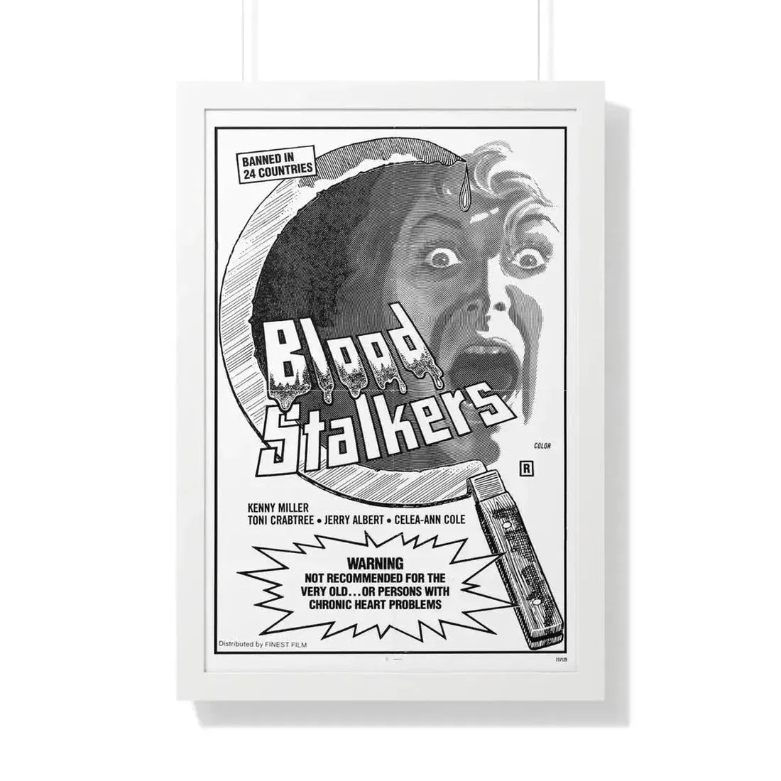 BLOOD STALKERS (THE NIGHT DANIEL DIED) 1976 - Framed Movie Poster 20" x 30" White - The Sticker Space
