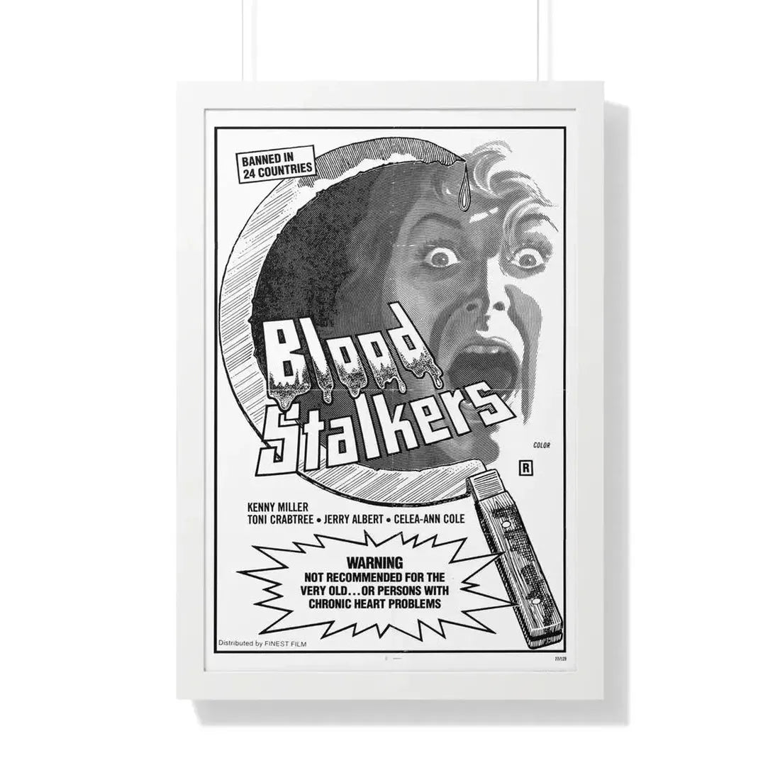 BLOOD STALKERS (THE NIGHT DANIEL DIED) 1976 - Framed Movie Poster - The Sticker Space