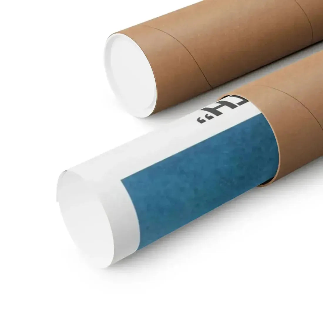 BLUE WATER, WHITE DEATH 1971 - Paper Movie Poster - The Sticker Space