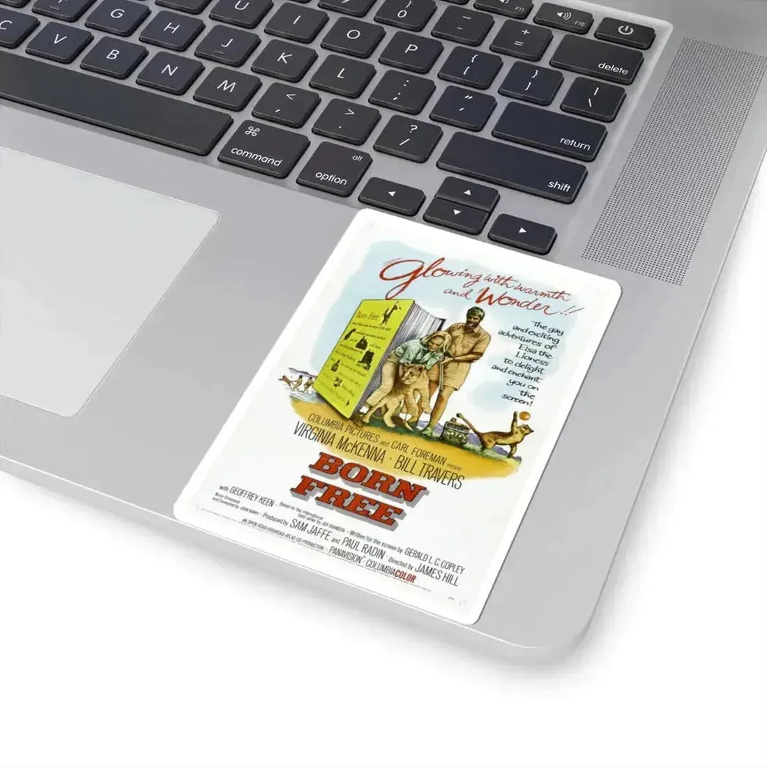 Born Free 1966 Movie Poster - STICKER Vinyl Kiss-Cut Decal - The Sticker Space