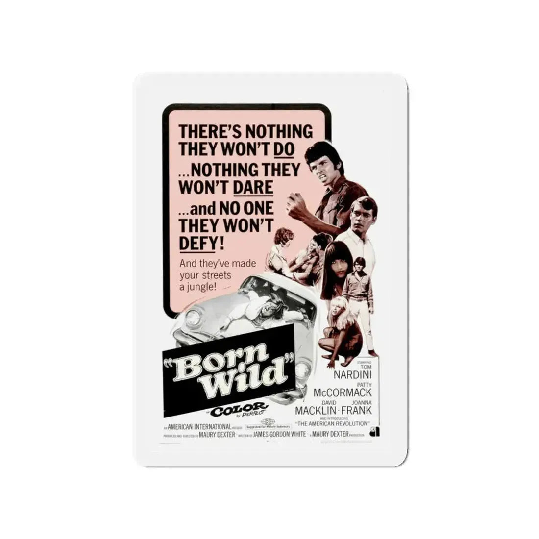 BORN WILD 1968 Movie Poster - Refrigerator Magnet 3 Inch - The Sticker Space