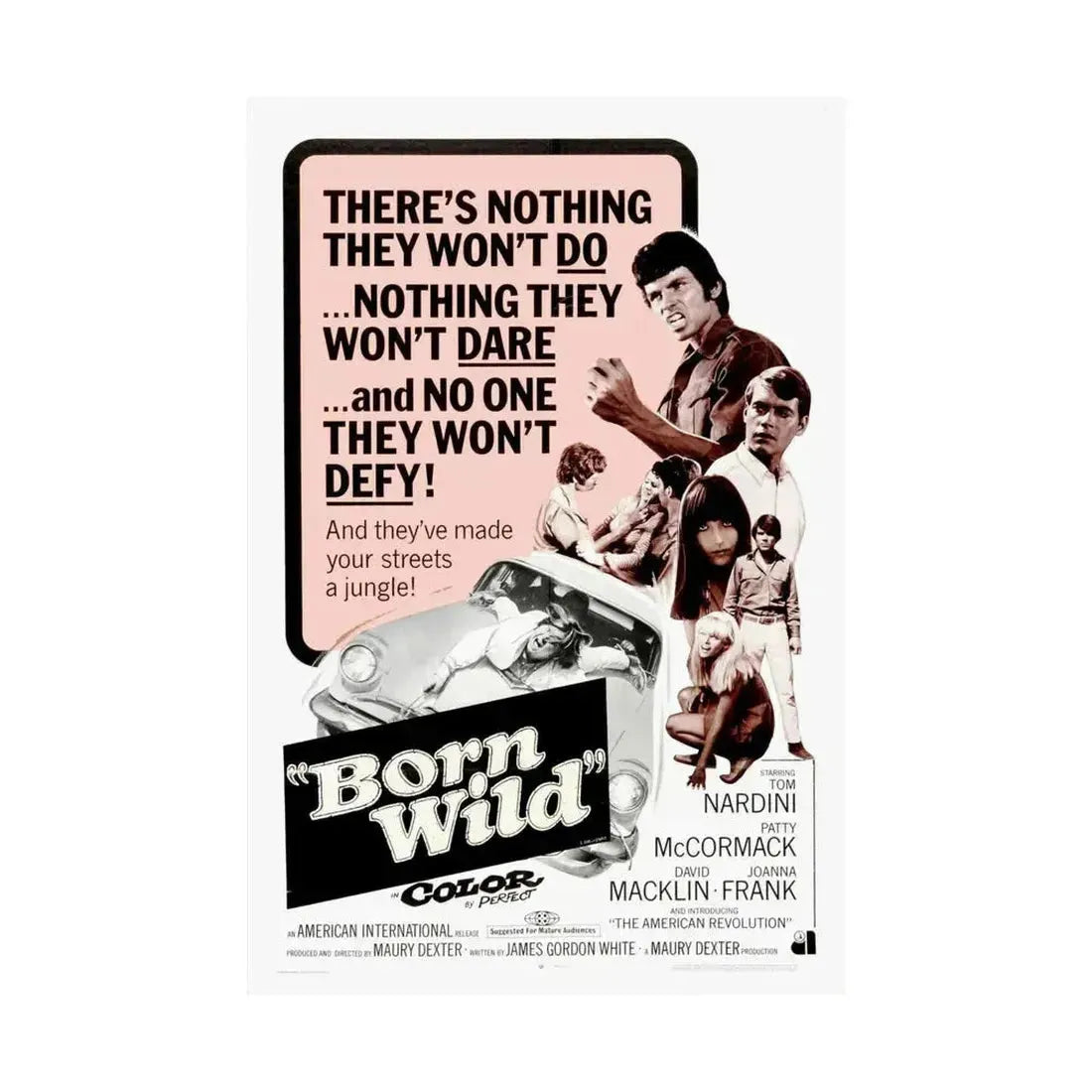 BORN WILD 1968 - Paper Movie Poster - The Sticker Space