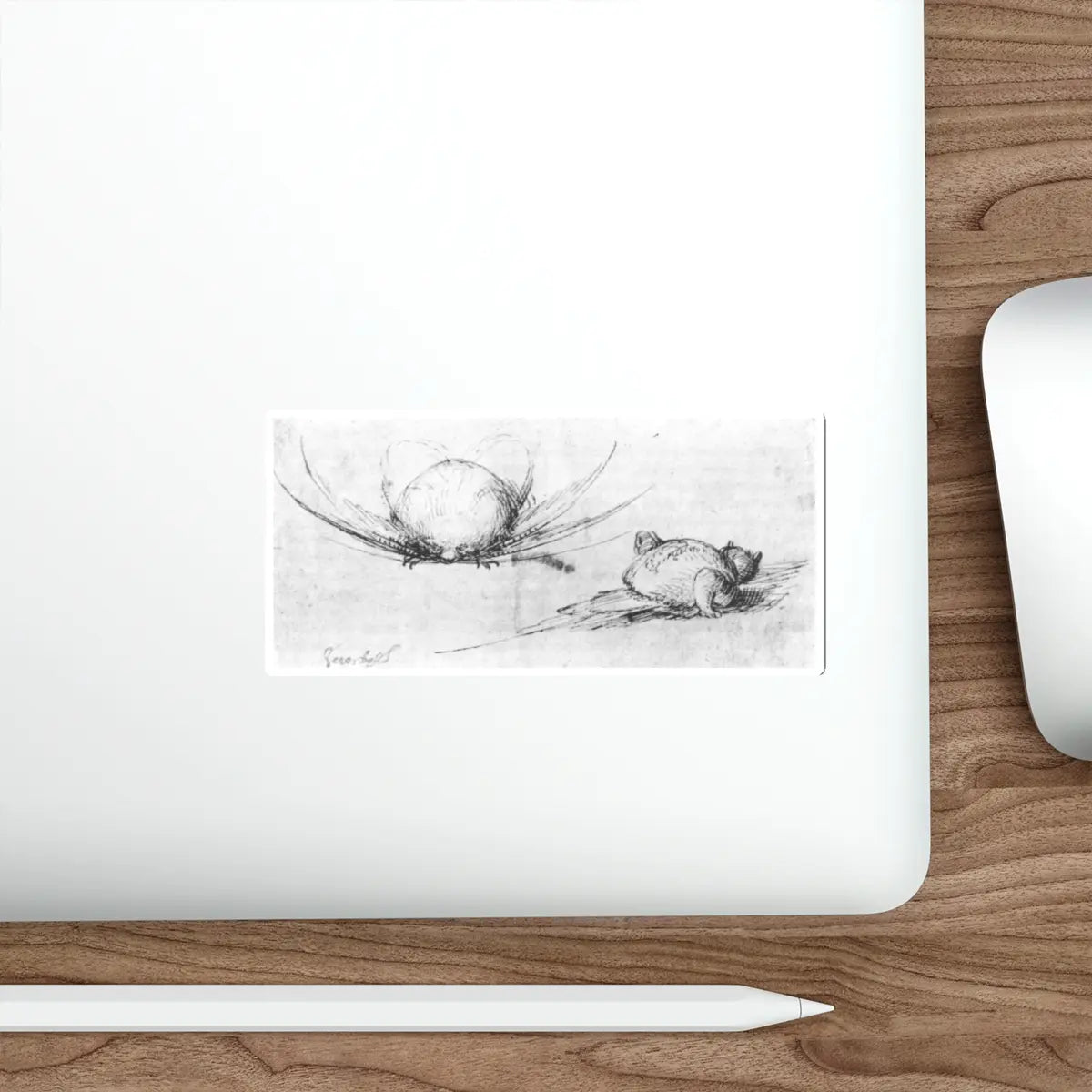 SKU:17674496511276477088 Sticker types:White Shape:Die-Cut Sizes:5" × 5"
