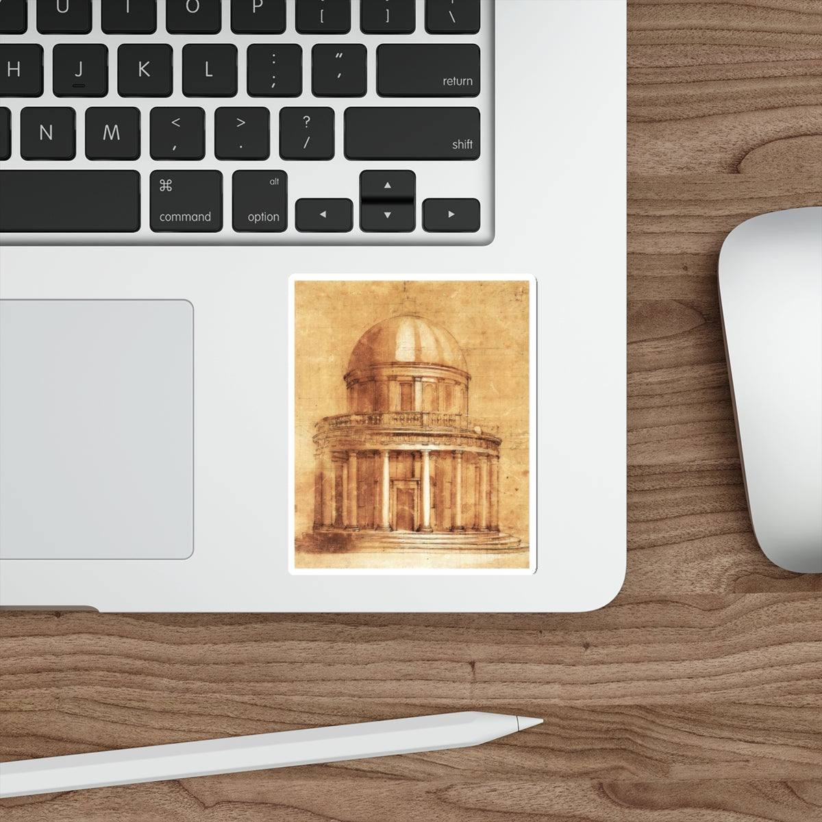 BRAMANTE, Donato - Study (Artwork) STICKER Vinyl Die-Cut Decal-The Sticker Space