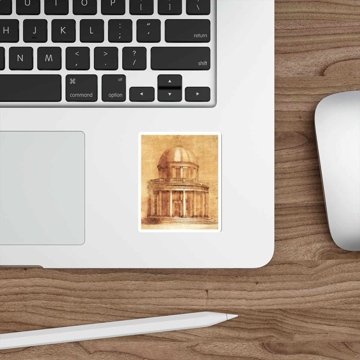 BRAMANTE, Donato - Study (Artwork) STICKER Vinyl Die-Cut Decal-The Sticker Space