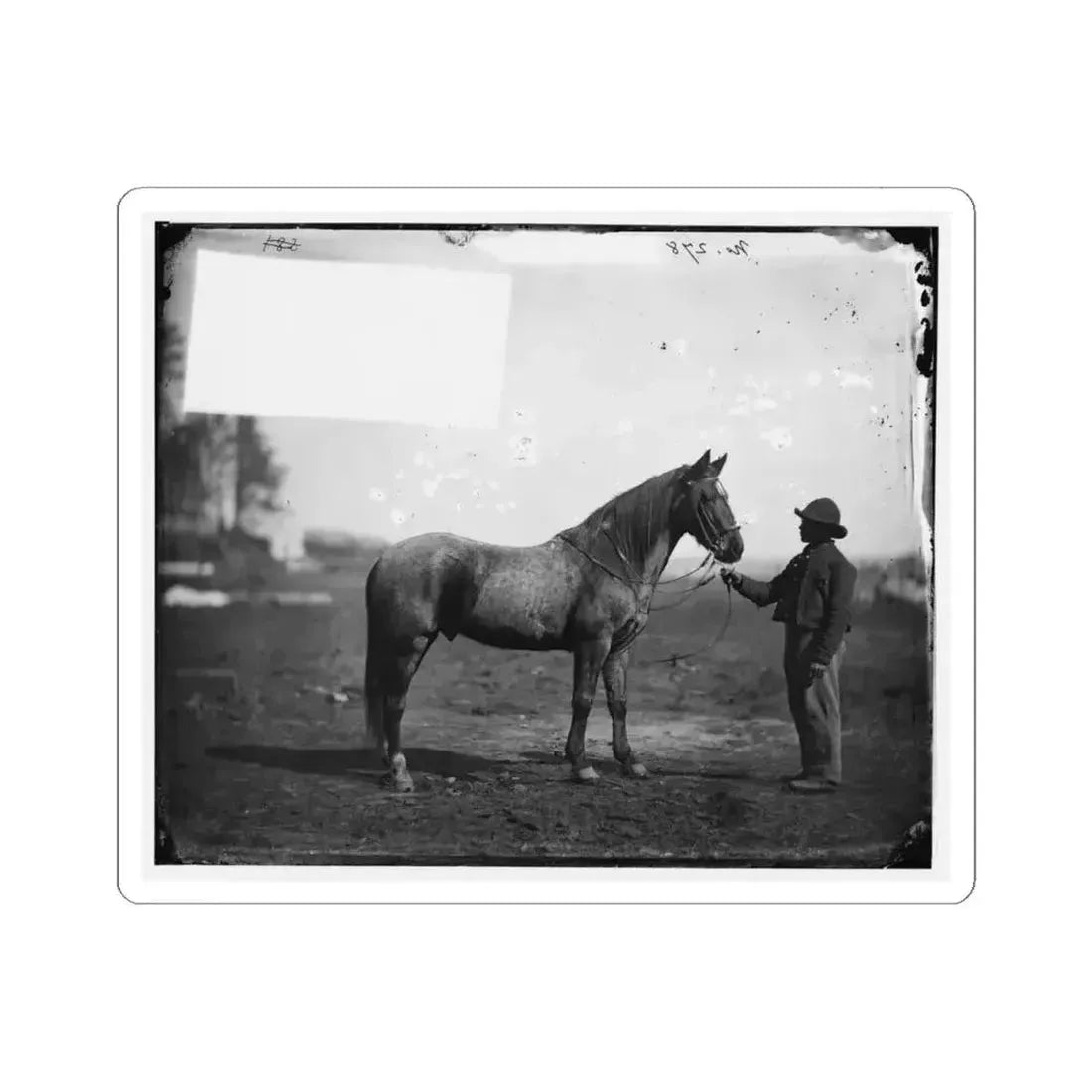 Brandy Station, Virginia. Capt. Beckwith's Horse, Headquarters, Army of the Potomac (U.S. Civil War) STICKER Vinyl Kiss-Cut Decal 4 Inch White - The Sticker Space