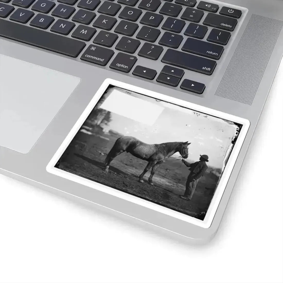 Brandy Station, Virginia. Capt. Beckwith's Horse, Headquarters, Army of the Potomac (U.S. Civil War) STICKER Vinyl Kiss-Cut Decal - The Sticker Space