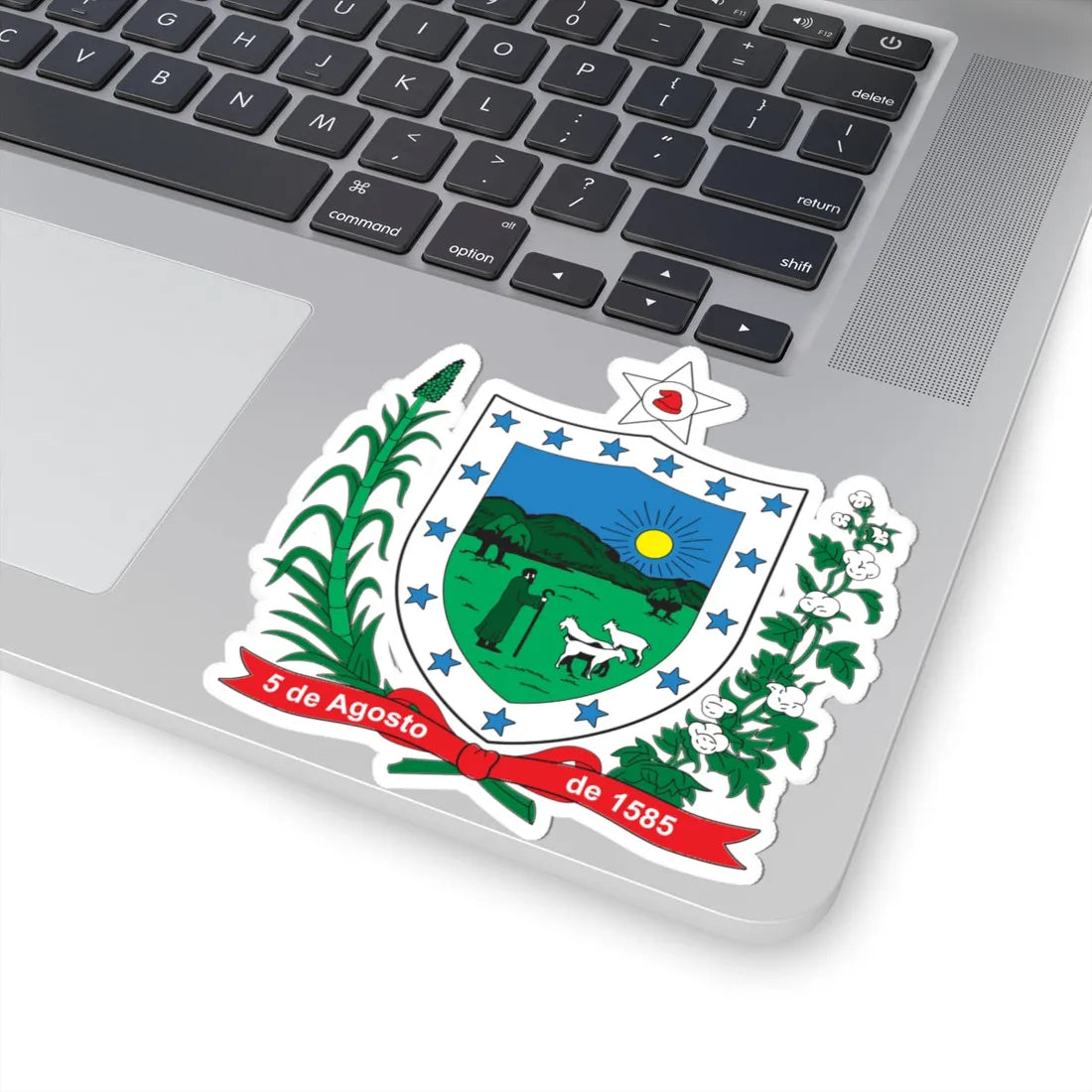 Brasão da Paraíba (Brazil) (Coat of Arms) STICKER Vinyl Kiss-Cut Decal - The Sticker Space
