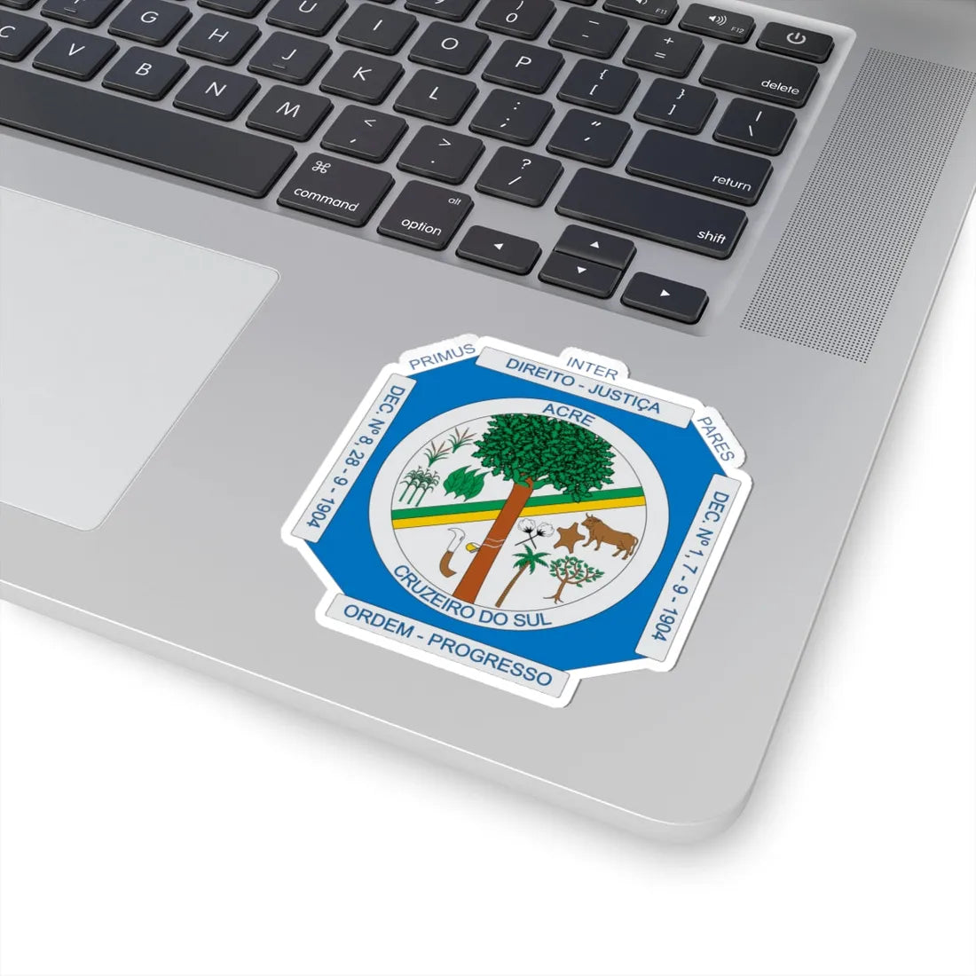 Brasão de Cruzeiro do Sul - AC (Brazil) (Coat of Arms) STICKER Vinyl Kiss-Cut Decal - The Sticker Space