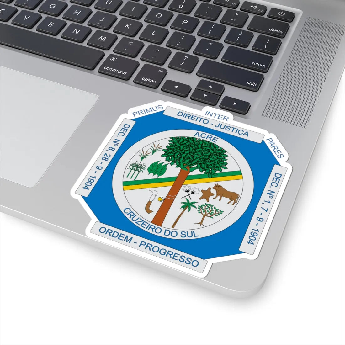 Brasão de Cruzeiro do Sul - AC (Brazil) (Coat of Arms) STICKER Vinyl Kiss-Cut Decal - The Sticker Space