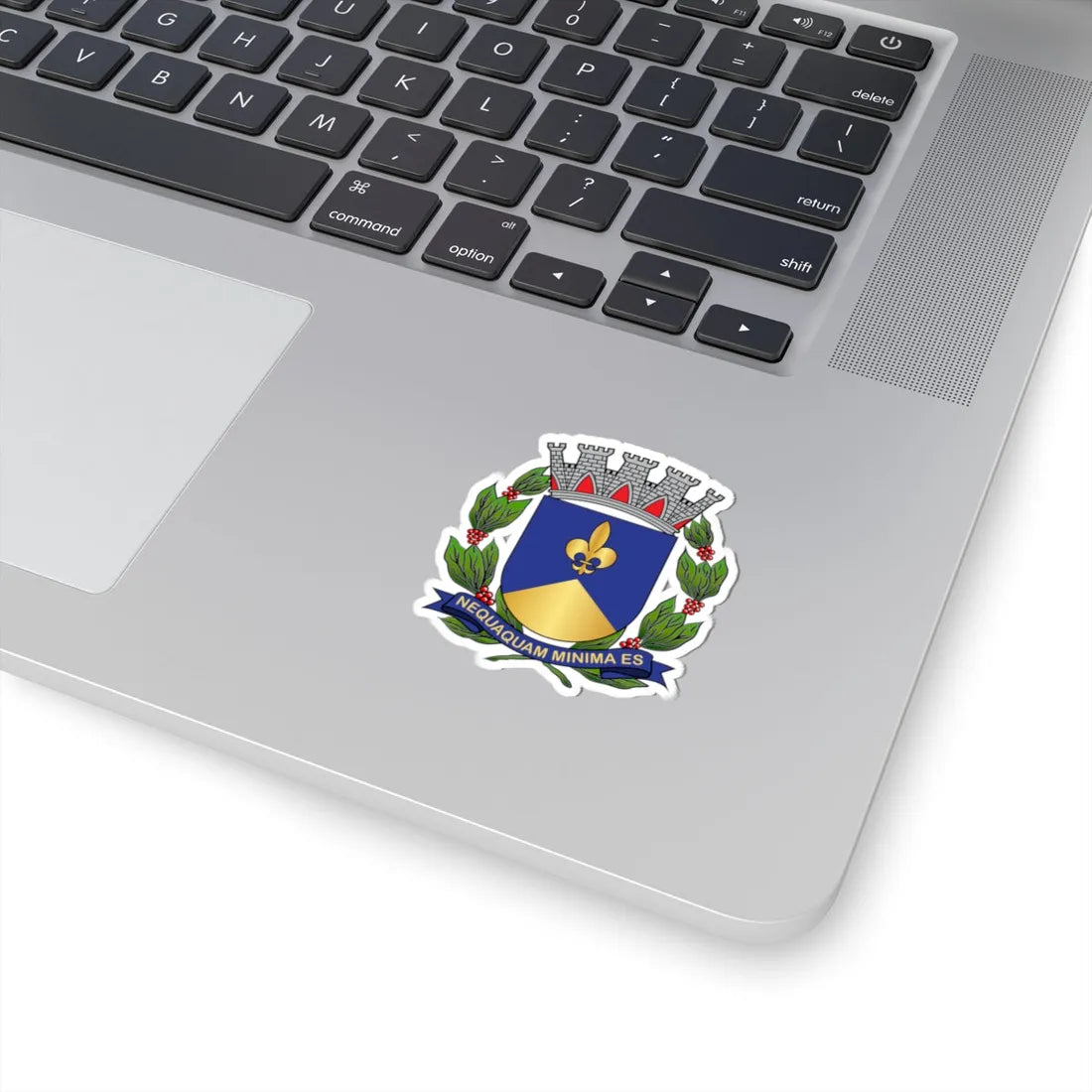Brasão de Descalvado (Brazil) (Coat of Arms) STICKER Vinyl Kiss-Cut Decal - The Sticker Space
