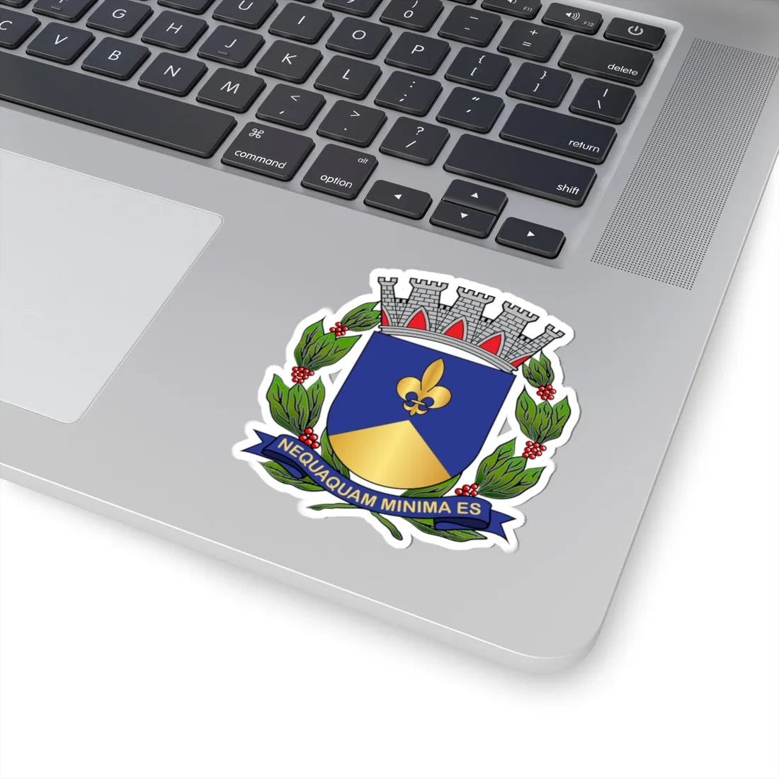 Brasão de Descalvado (Brazil) (Coat of Arms) STICKER Vinyl Kiss-Cut Decal - The Sticker Space