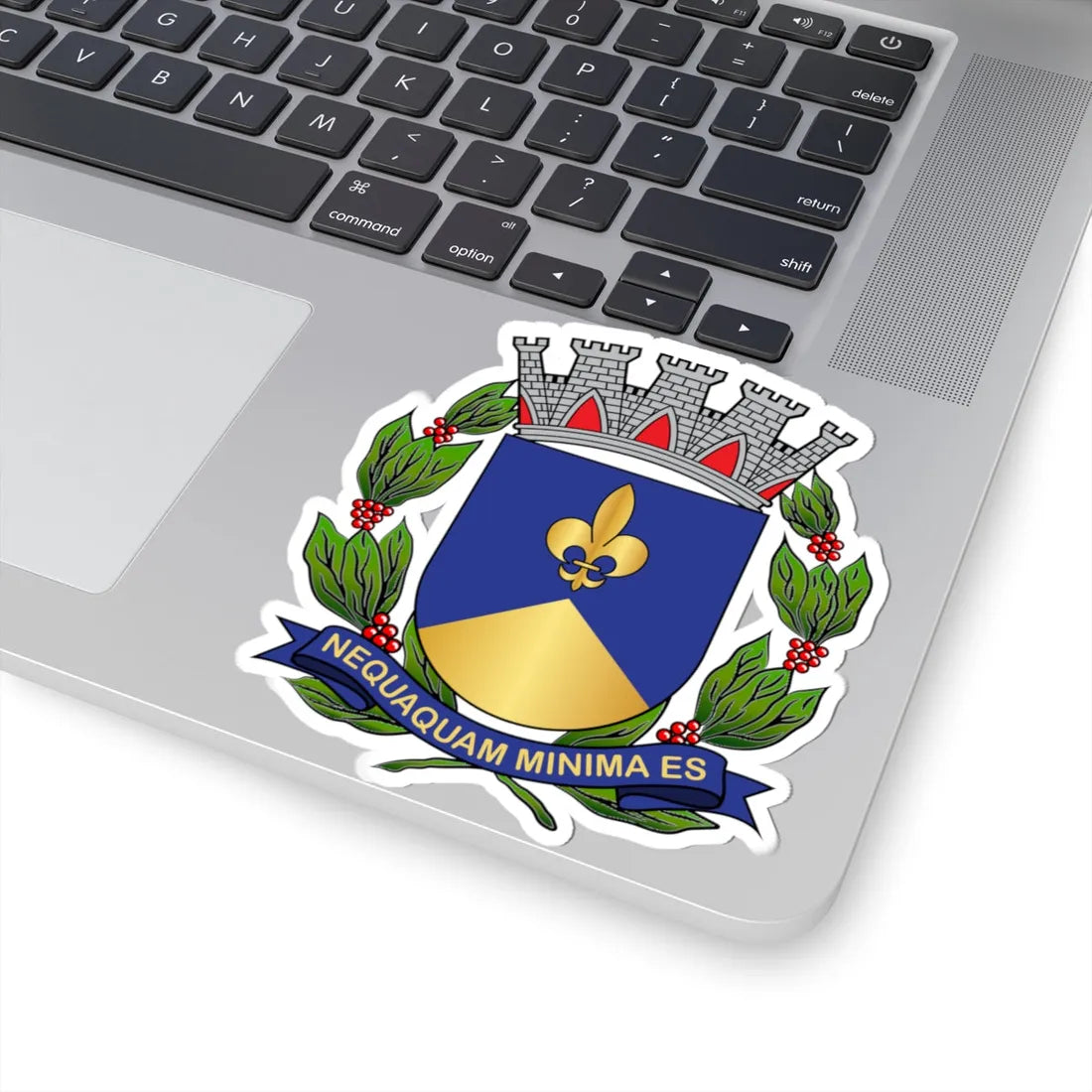 Brasão de Descalvado (Brazil) (Coat of Arms) STICKER Vinyl Kiss-Cut Decal - The Sticker Space