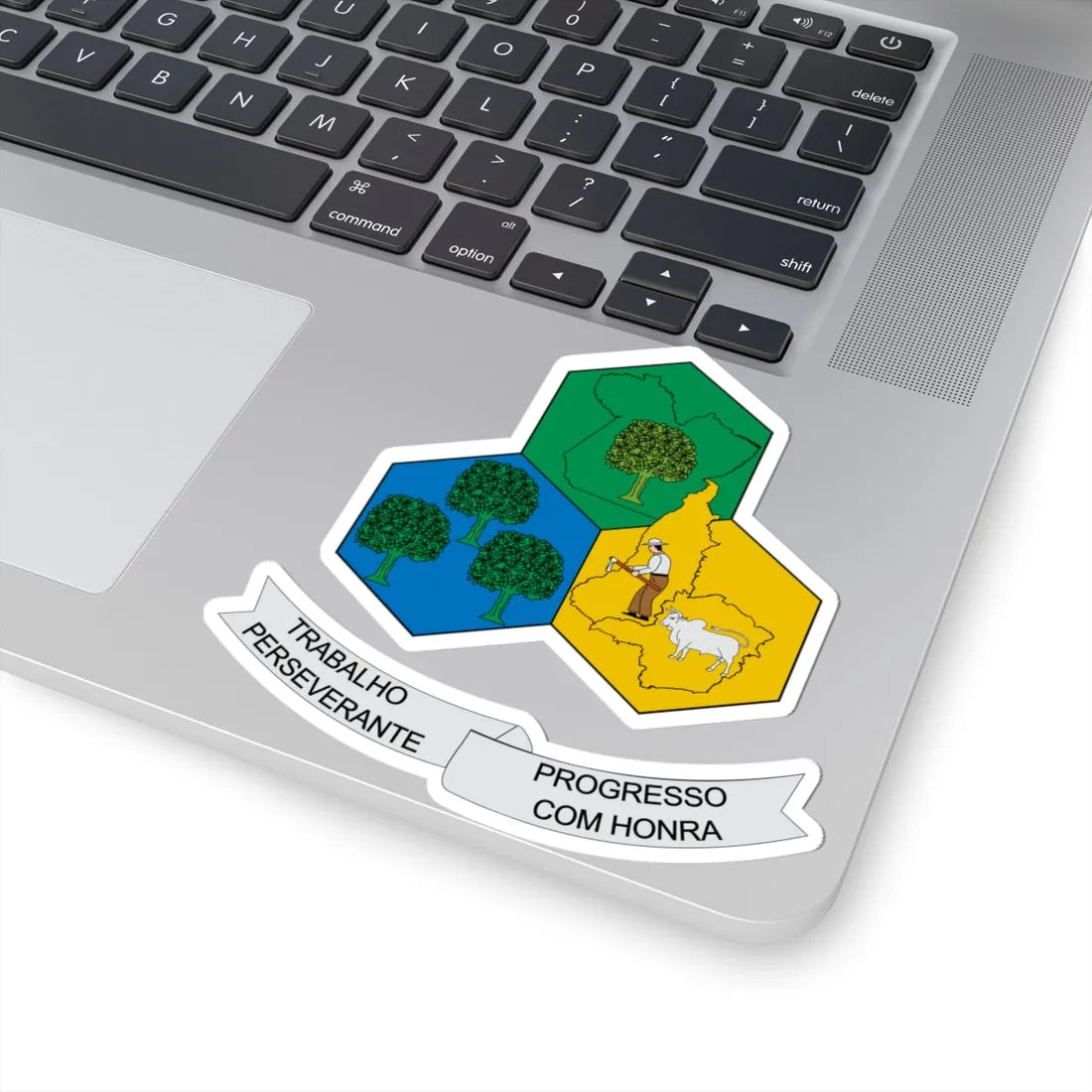 Brasão de Paragominas - PA (Brazil) (Coat of Arms) STICKER Vinyl Kiss-Cut Decal - The Sticker Space