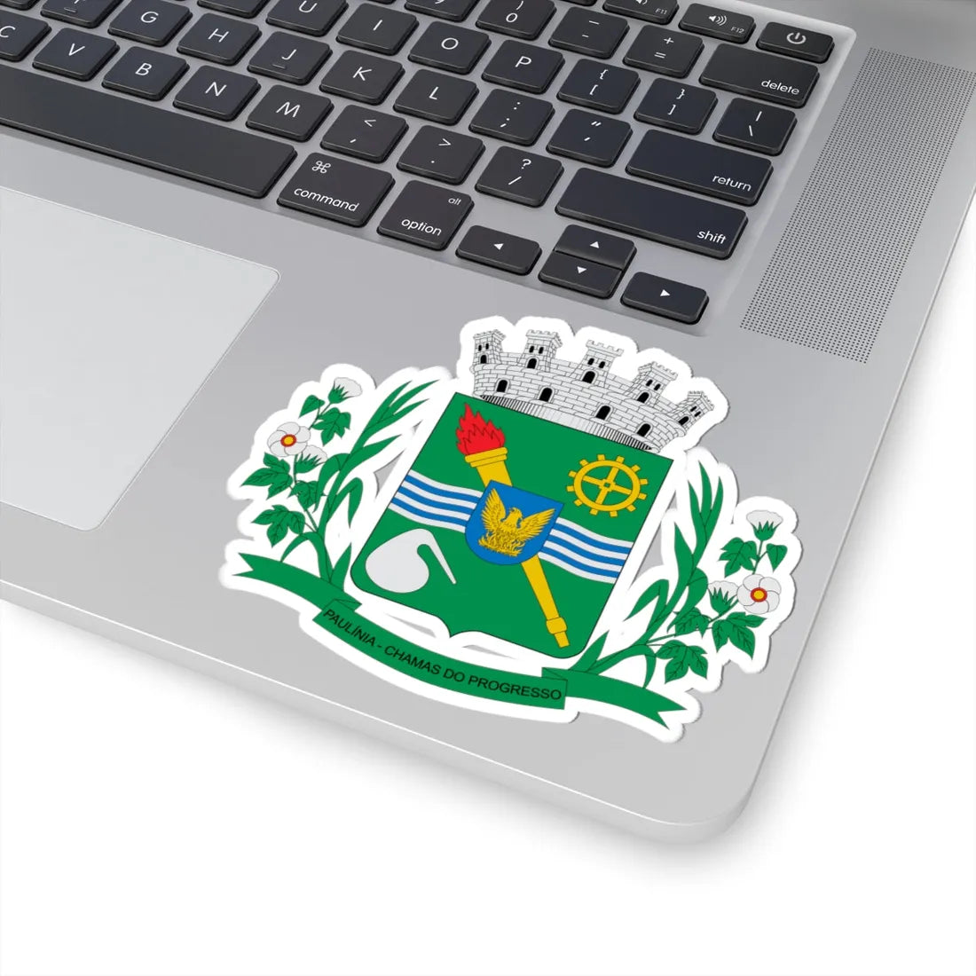 Brasão de Paulínia - SP (Brazil) (Coat of Arms) STICKER Vinyl Kiss-Cut Decal - The Sticker Space