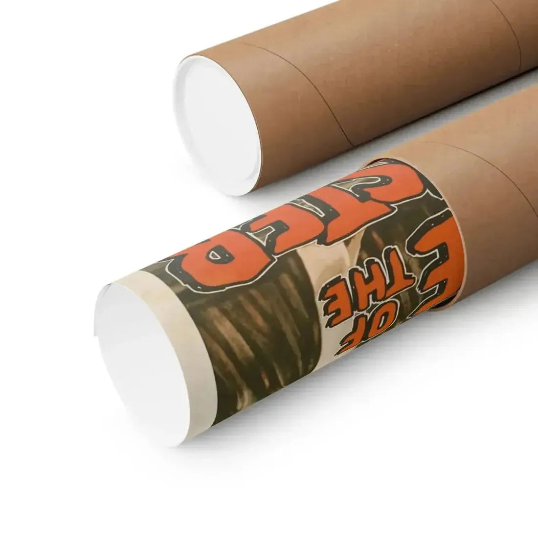 BRIDE OF THE MONSTER 1955 - Paper Movie Poster - The Sticker Space