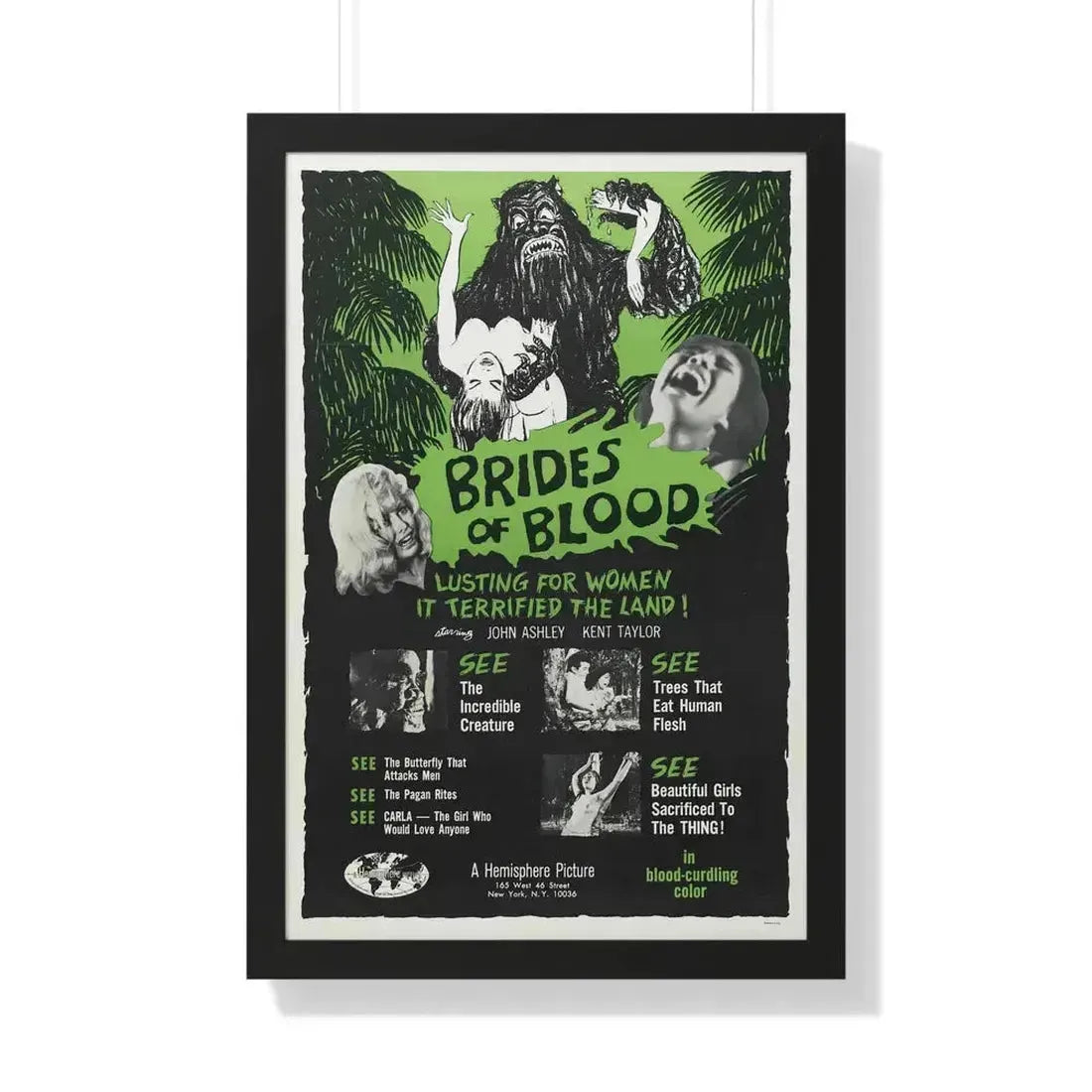 BRIDES OF BLOOD 1968 - Framed Movie Poster 20" x 30" Black - The Sticker Space