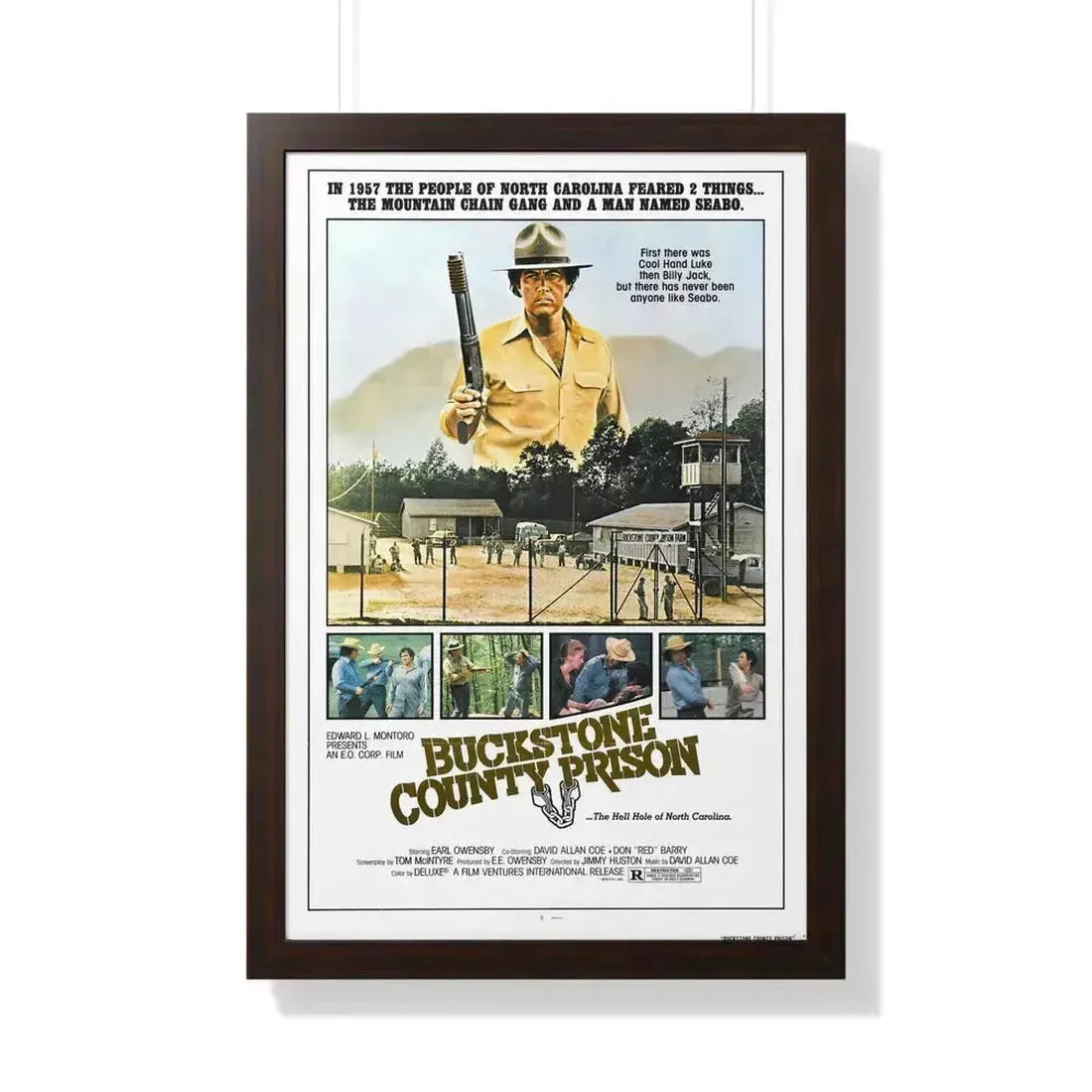 BUCKSTONE COUNTY PRISON 1978 - Framed Movie Poster 20" x 30" Walnut - The Sticker Space