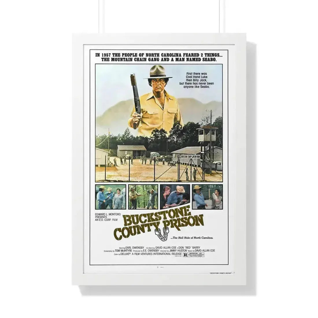 BUCKSTONE COUNTY PRISON 1978 - Framed Movie Poster 20" x 30" White - The Sticker Space