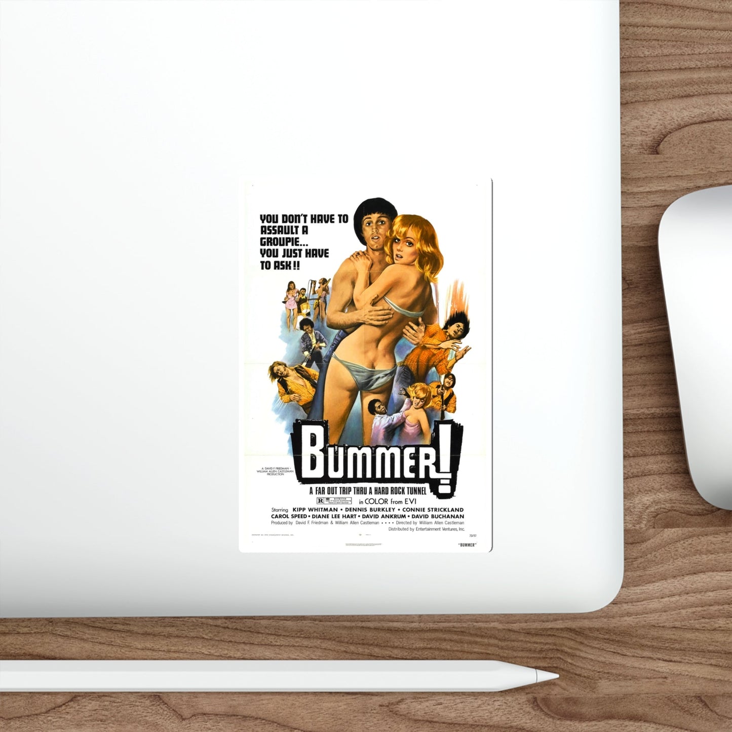 BUMMER! (THE SADIST) 1973 Movie Poster STICKER Vinyl Die-Cut Decal-The Sticker Space