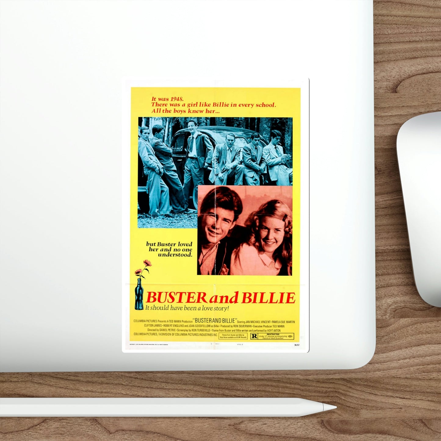 Buster and Billie 1974 Movie Poster STICKER Vinyl Die-Cut Decal-The Sticker Space