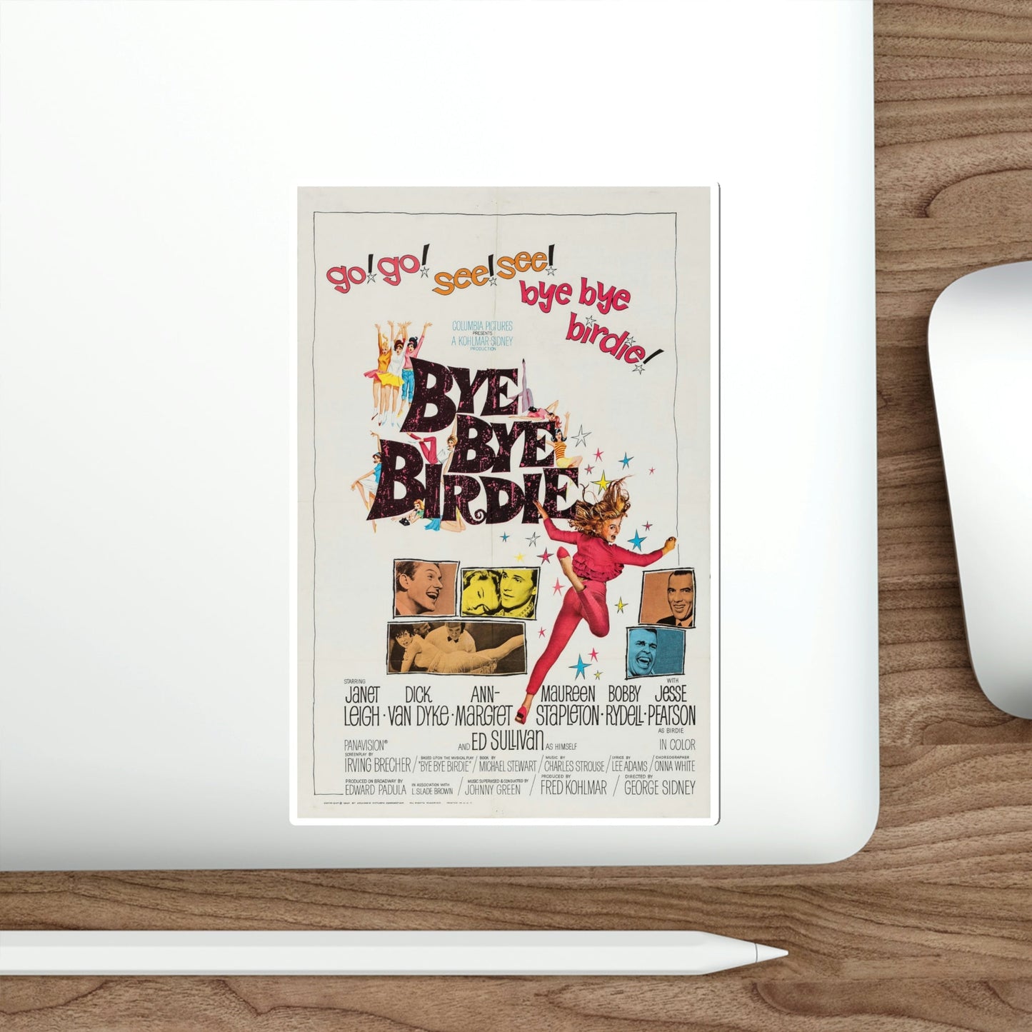 Bye Bye Birdie 1963 Movie Poster STICKER Vinyl Die-Cut Decal-The Sticker Space