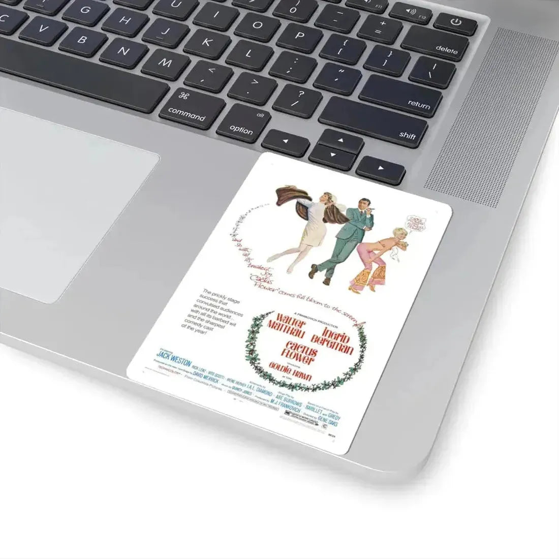 Cactus Flower 1969 Movie Poster - STICKER Vinyl Kiss-Cut Decal - The Sticker Space