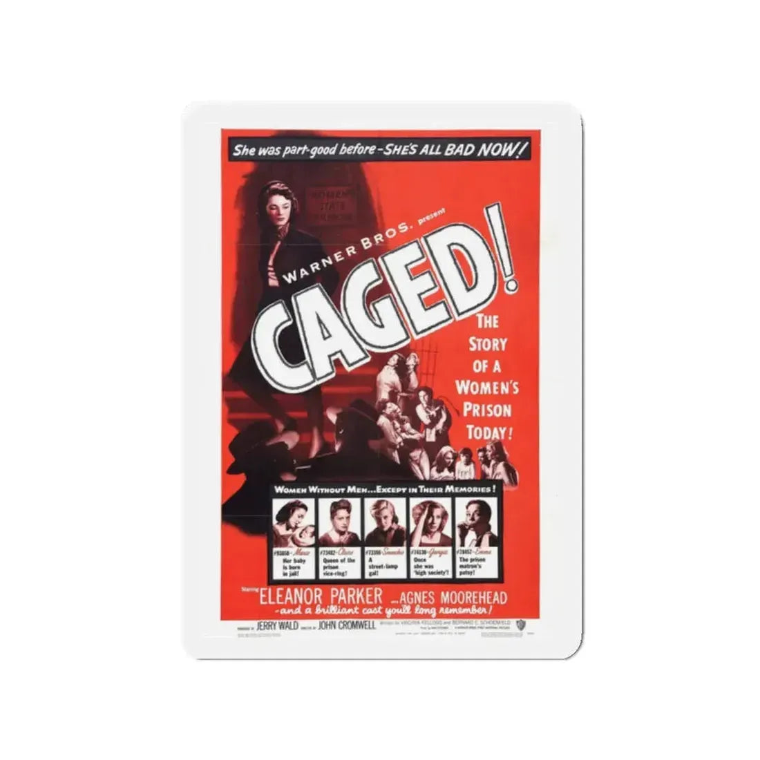 CAGED! (2) 1950 Movie Poster - Refrigerator Magnet 2 Inch - The Sticker Space