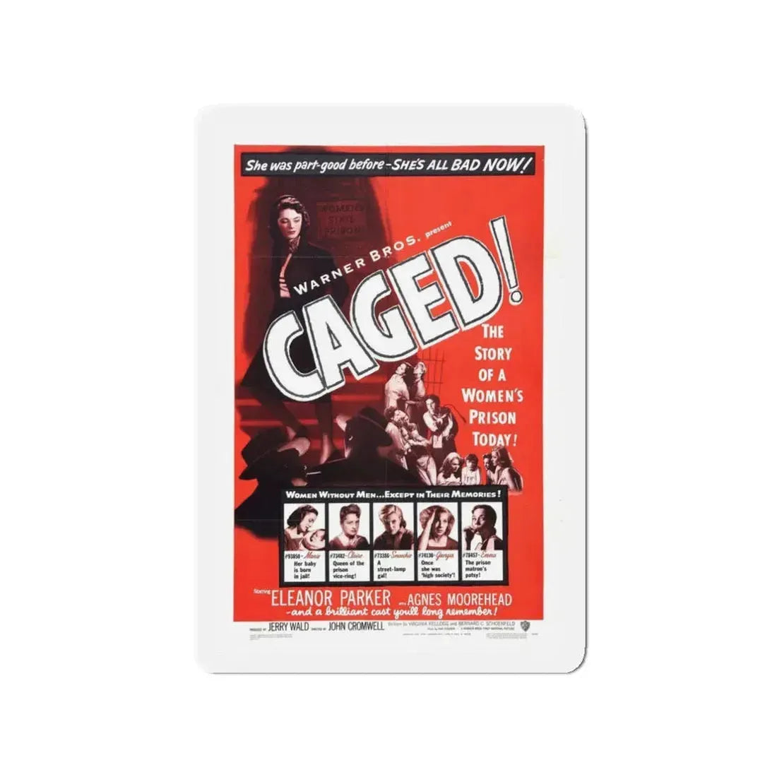 CAGED! (2) 1950 Movie Poster - Refrigerator Magnet 3 Inch - The Sticker Space