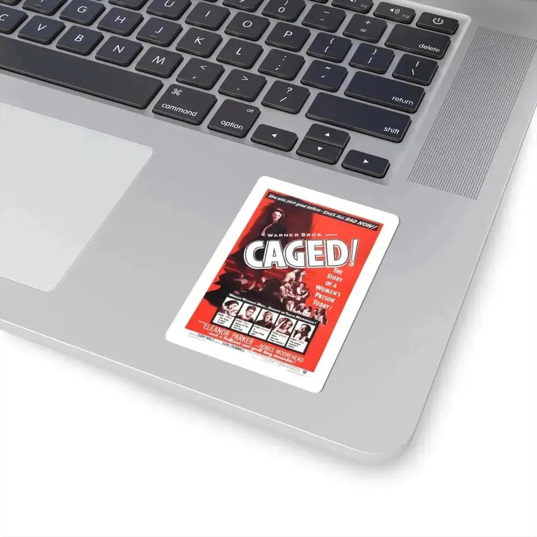 CAGED! (2) 1950 Movie Poster - STICKER Vinyl Kiss-Cut Decal - The Sticker Space