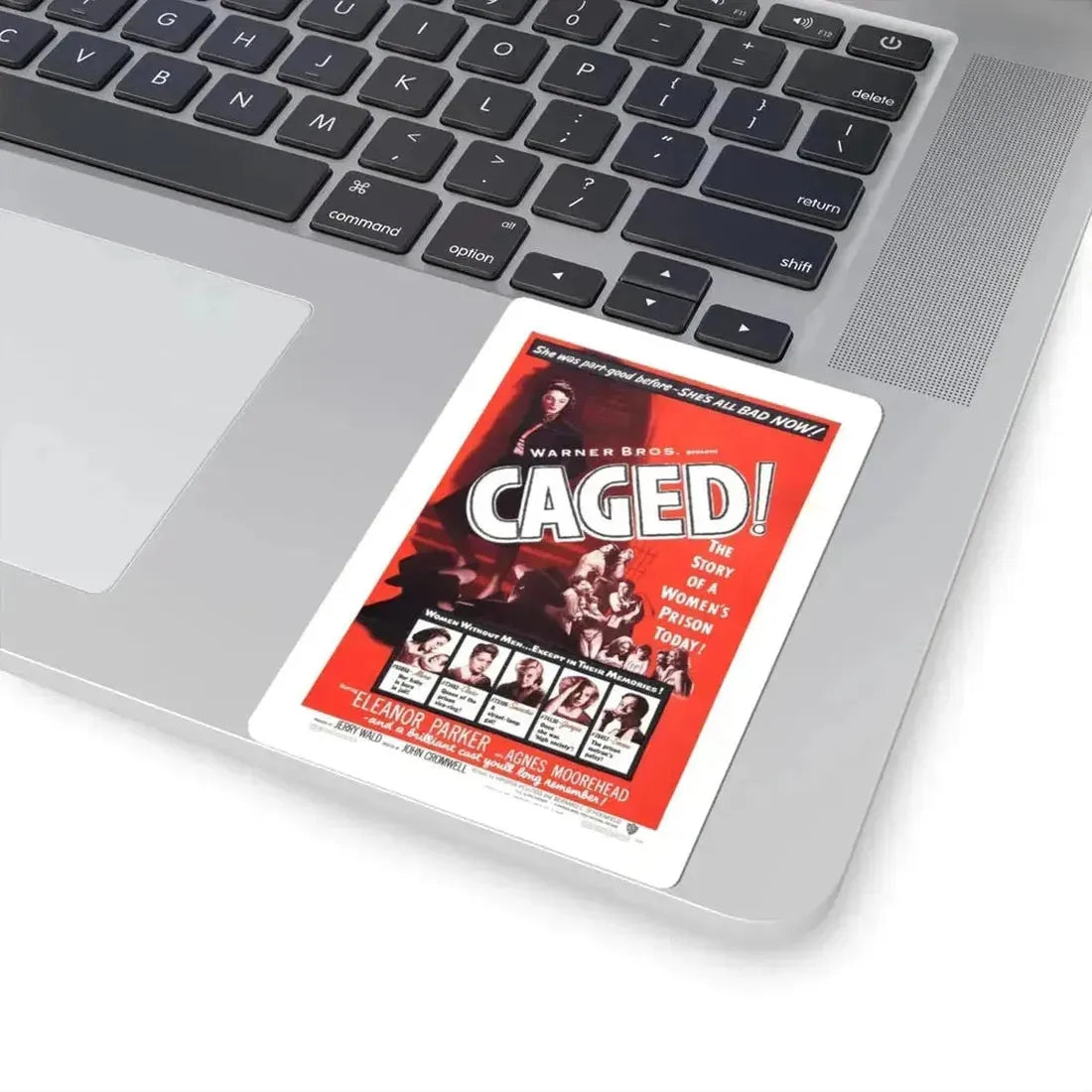 CAGED! (2) 1950 Movie Poster - STICKER Vinyl Kiss-Cut Decal - The Sticker Space