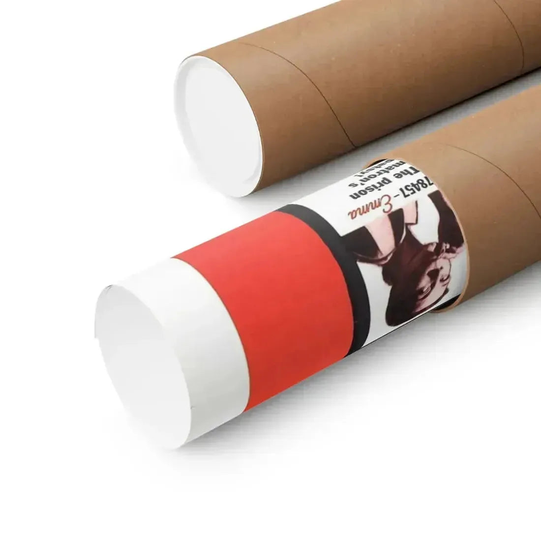 CAGED! (2) 1950 - Paper Movie Poster - The Sticker Space