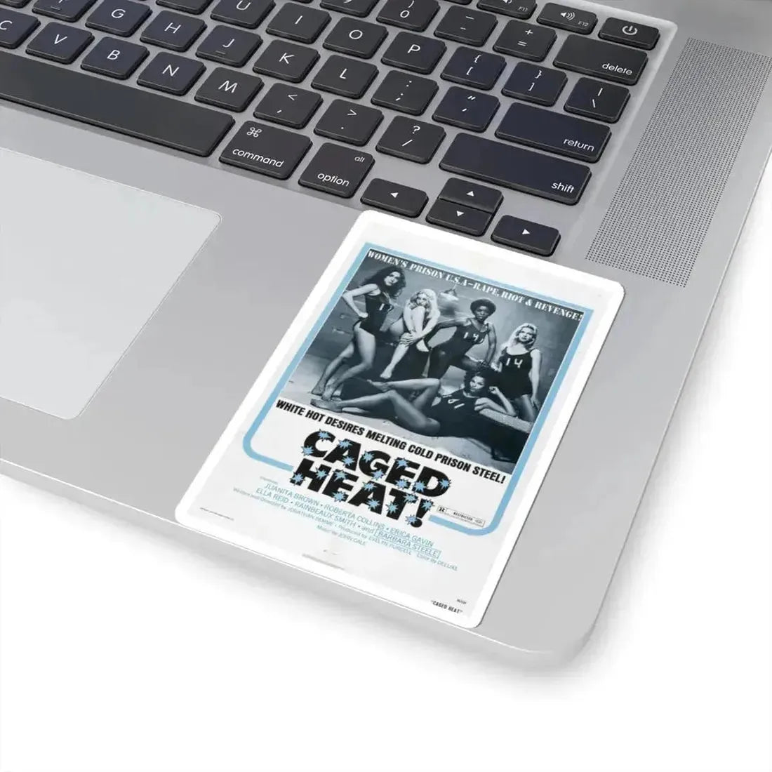 Caged Heat 1974 Movie Poster - STICKER Vinyl Kiss-Cut Decal - The Sticker Space