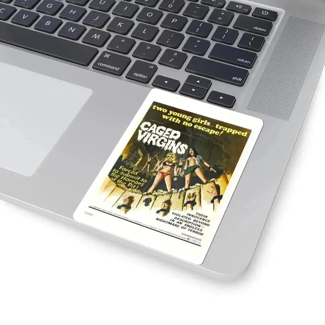 Caged Virgins 1973 Movie Poster - STICKER Vinyl Kiss-Cut Decal - The Sticker Space