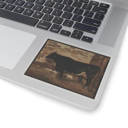 SKU:TSS-STICK-CMLCRT-4X4-1N0N8 Sizes:4" × 4" Types:Transparent