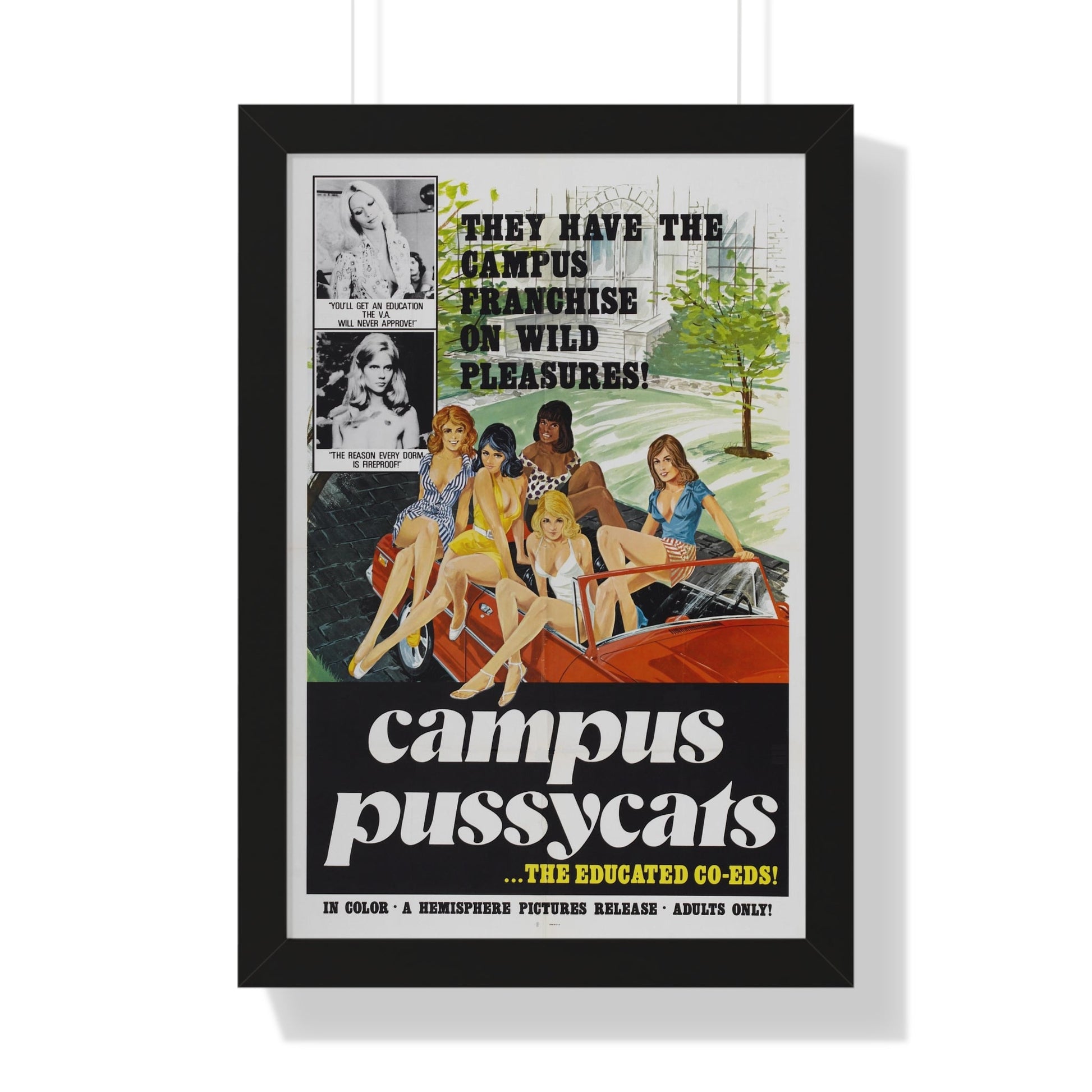 CAMPUS PUSSYCATS 1973 - Framed Movie Poster-16″ x 24″-The Sticker Space