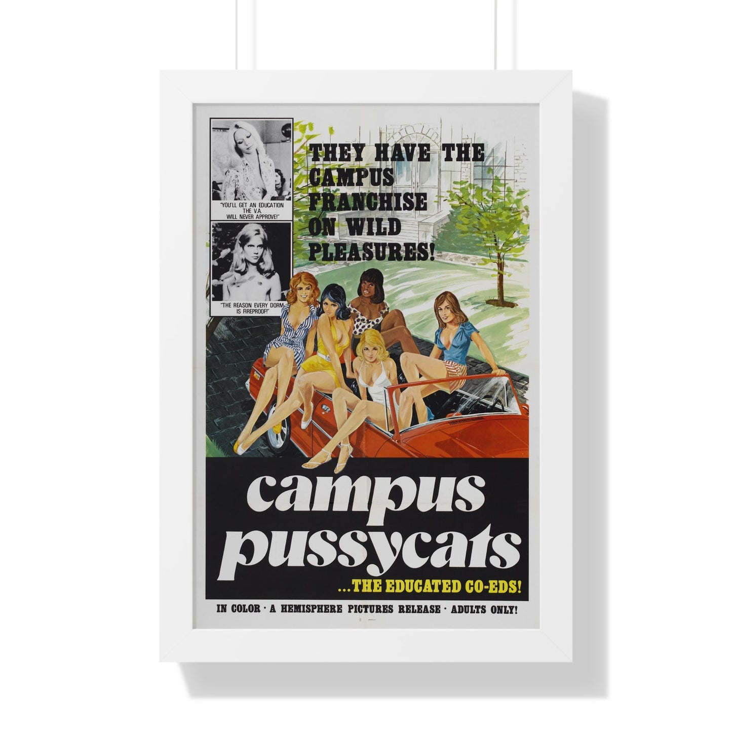 CAMPUS PUSSYCATS 1973 - Framed Movie Poster-16″ x 24″-The Sticker Space