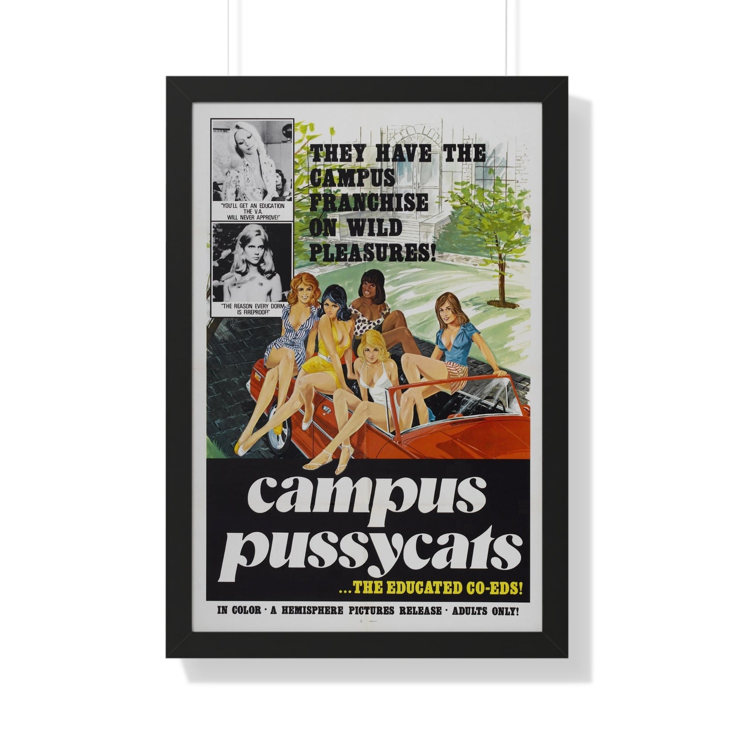 CAMPUS PUSSYCATS 1973 - Framed Movie Poster-20" x 30"-The Sticker Space