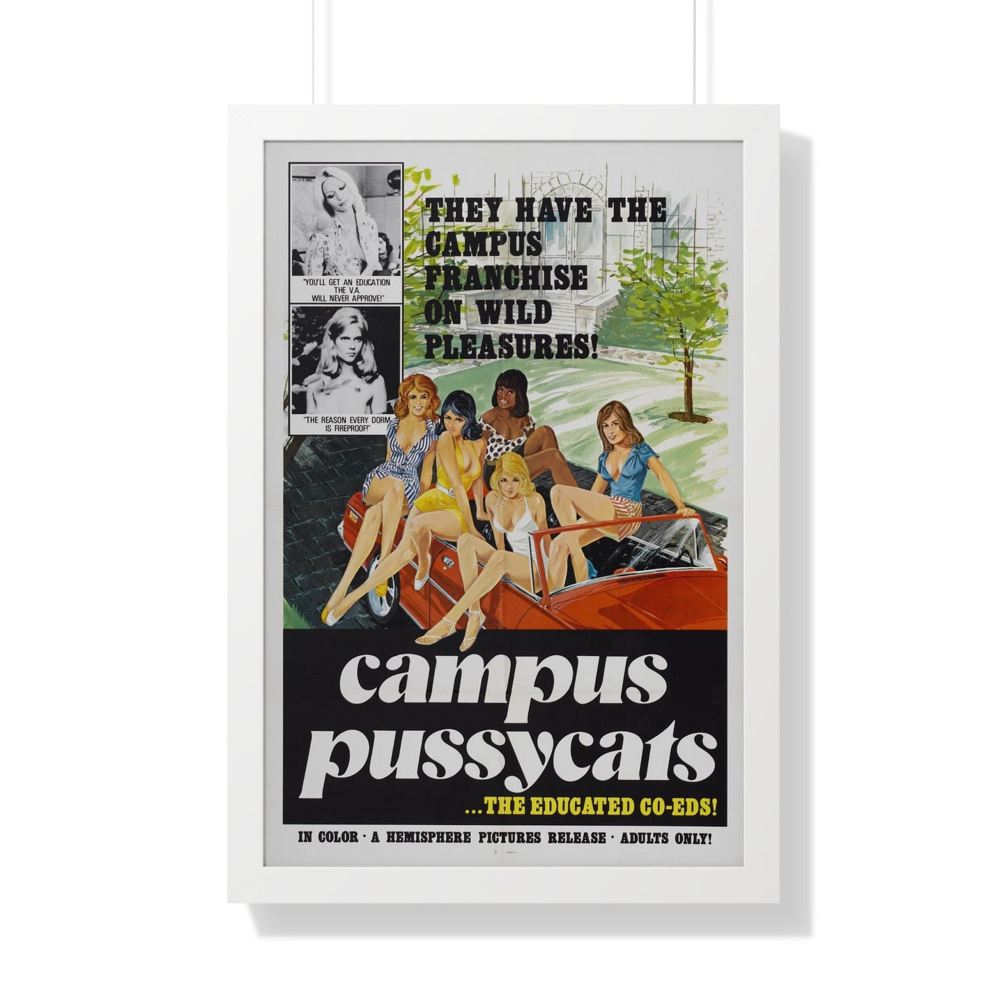 CAMPUS PUSSYCATS 1973 - Framed Movie Poster-20" x 30"-The Sticker Space