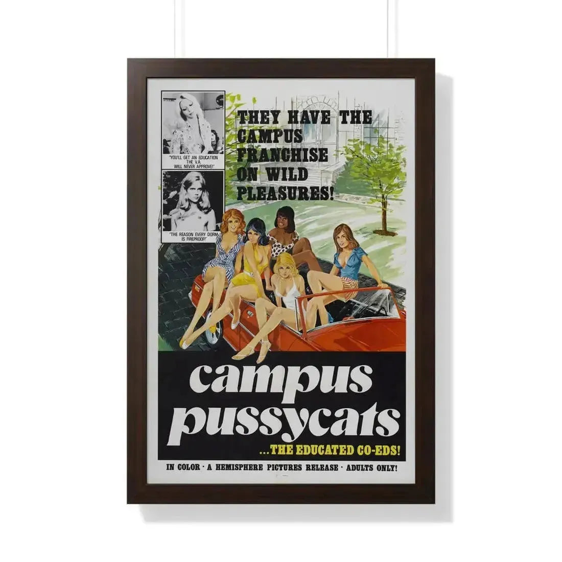 CAMPUS PUSSYCATS 1973 - Framed Movie Poster - The Sticker Space