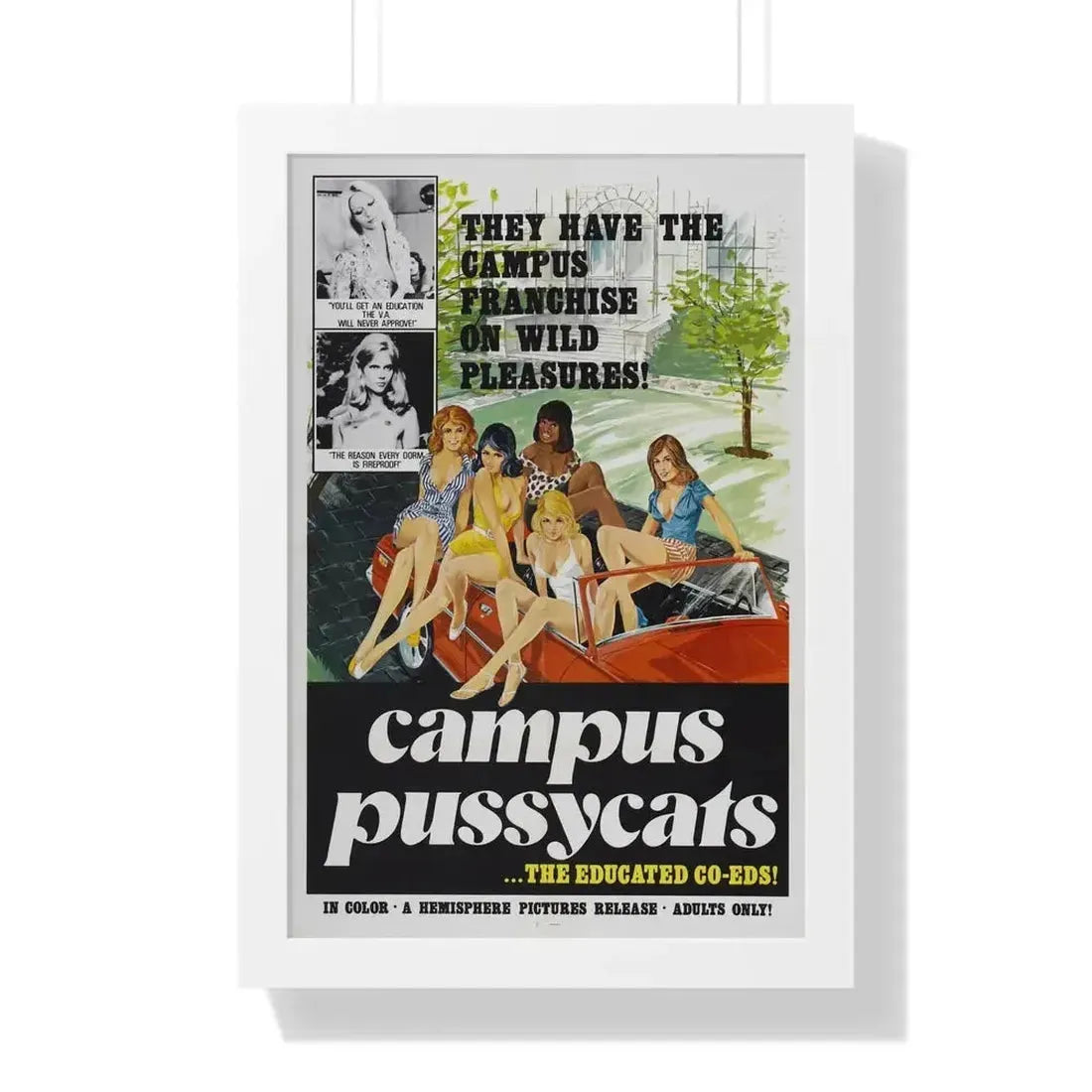 CAMPUS PUSSYCATS 1973 - Framed Movie Poster - The Sticker Space